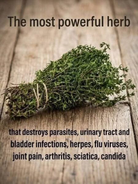 Thyme Tea Recipe