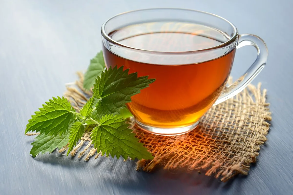 Cup of herbal tea